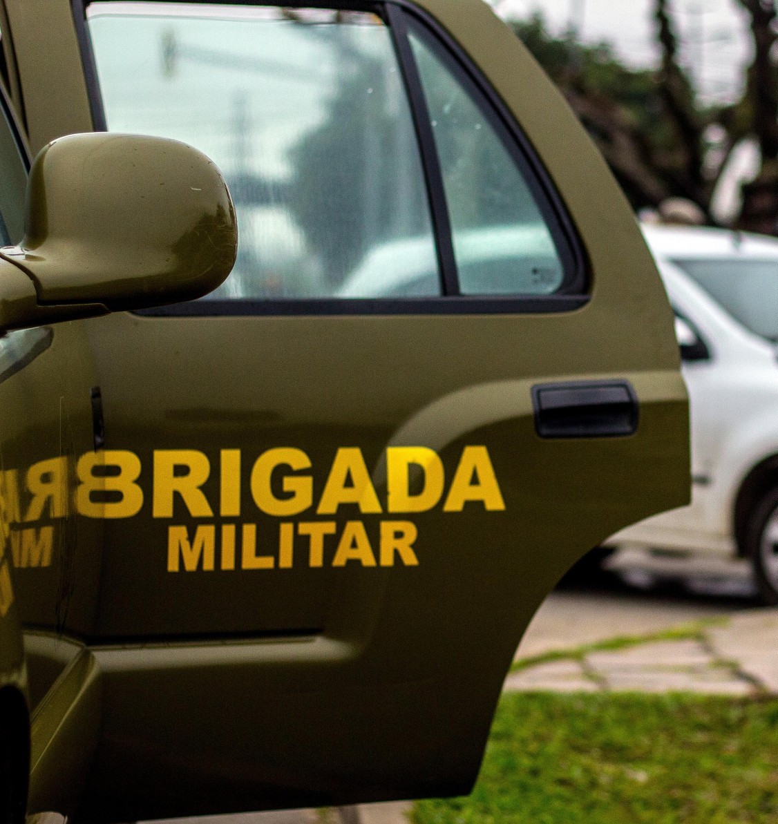 novidades